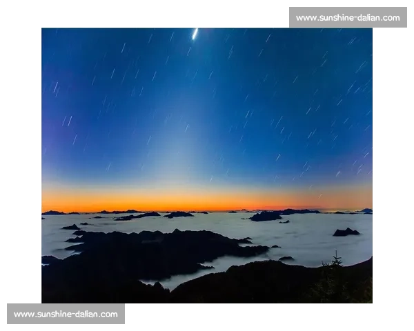 晨雾与羽翅：鸟里的早安启示